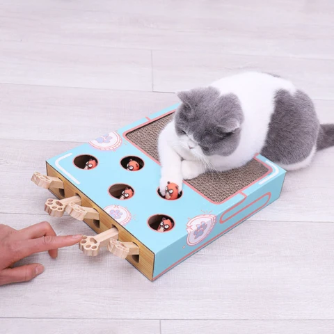 Interactive cat scratcher toy puzzle box for indoor cats