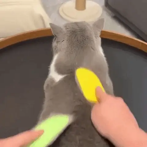 Pet Grooming Brush Cats Silicone Deshedding Tool Easy Clean - Image 8
